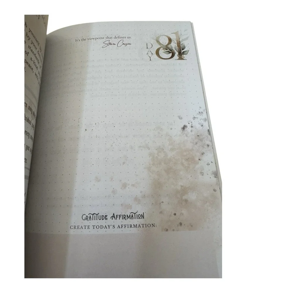 Law‎ of Attraction 100 Day Guided Journal Steven Canyon New Unused Workbook